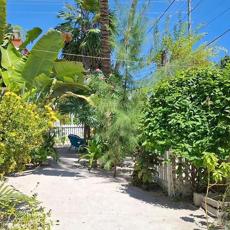 Amanda'S Place Green Studio - Pool And Tropical Garden Caye Caulker Exterior photo