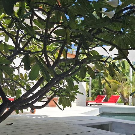 Amanda'S Place Green Studio - Pool And Tropical Garden Caye Caulker Exterior photo