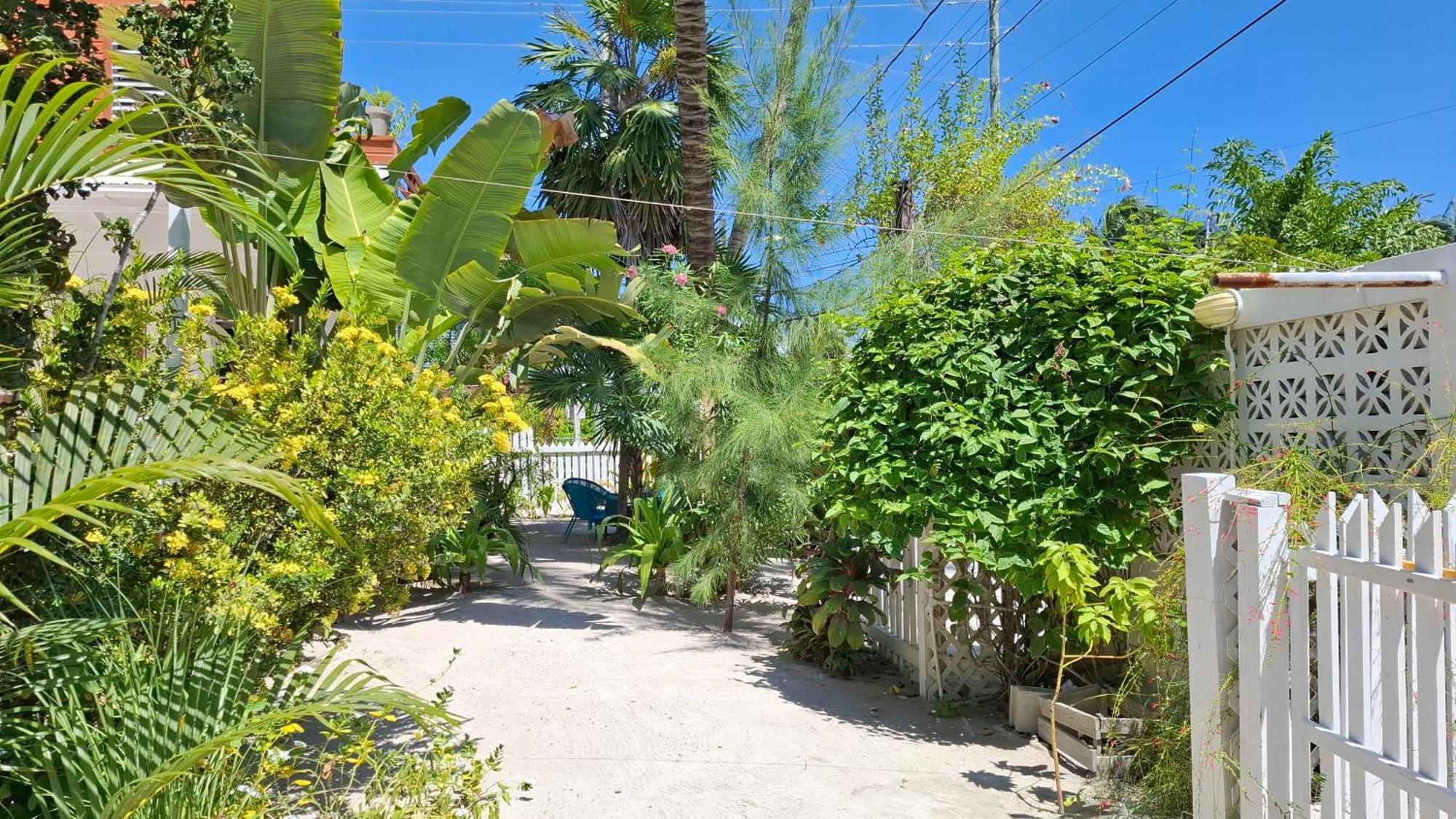 Amanda'S Place Green Studio - Pool And Tropical Garden Caye Caulker Exterior photo