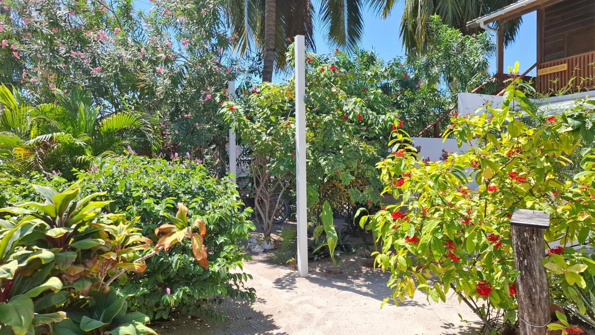 Amanda'S Place Green Studio - Pool And Tropical Garden Caye Caulker Exterior photo