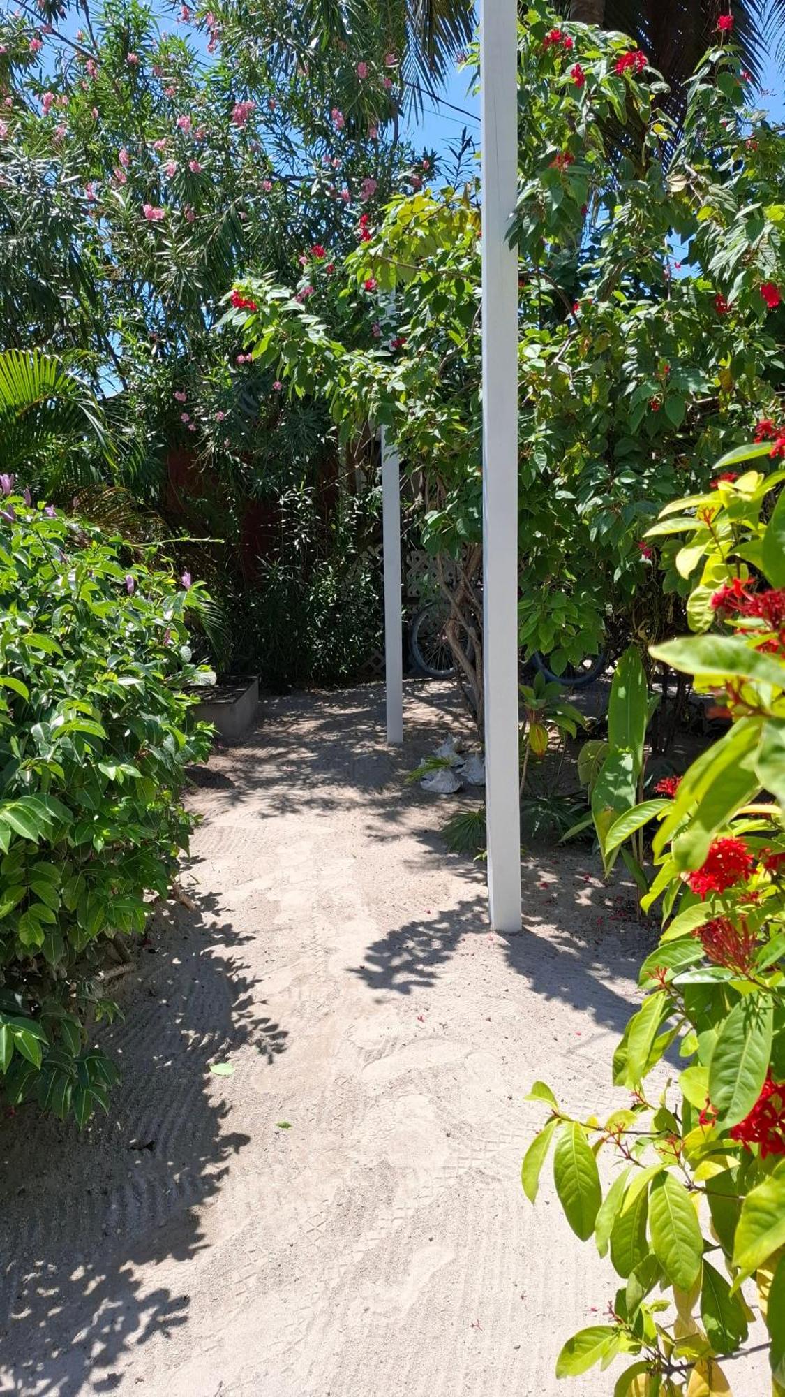 Amanda'S Place Green Studio - Pool And Tropical Garden Caye Caulker Exterior photo