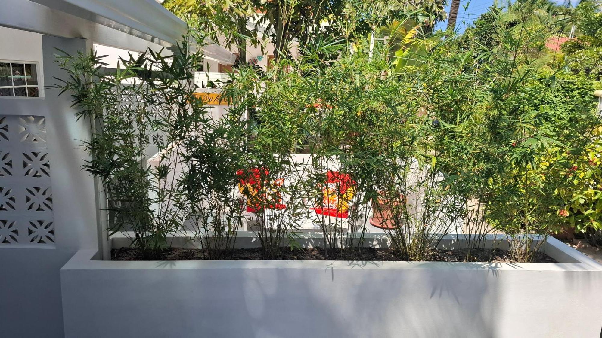 Amanda'S Place Green Studio - Pool And Tropical Garden Caye Caulker Exterior photo
