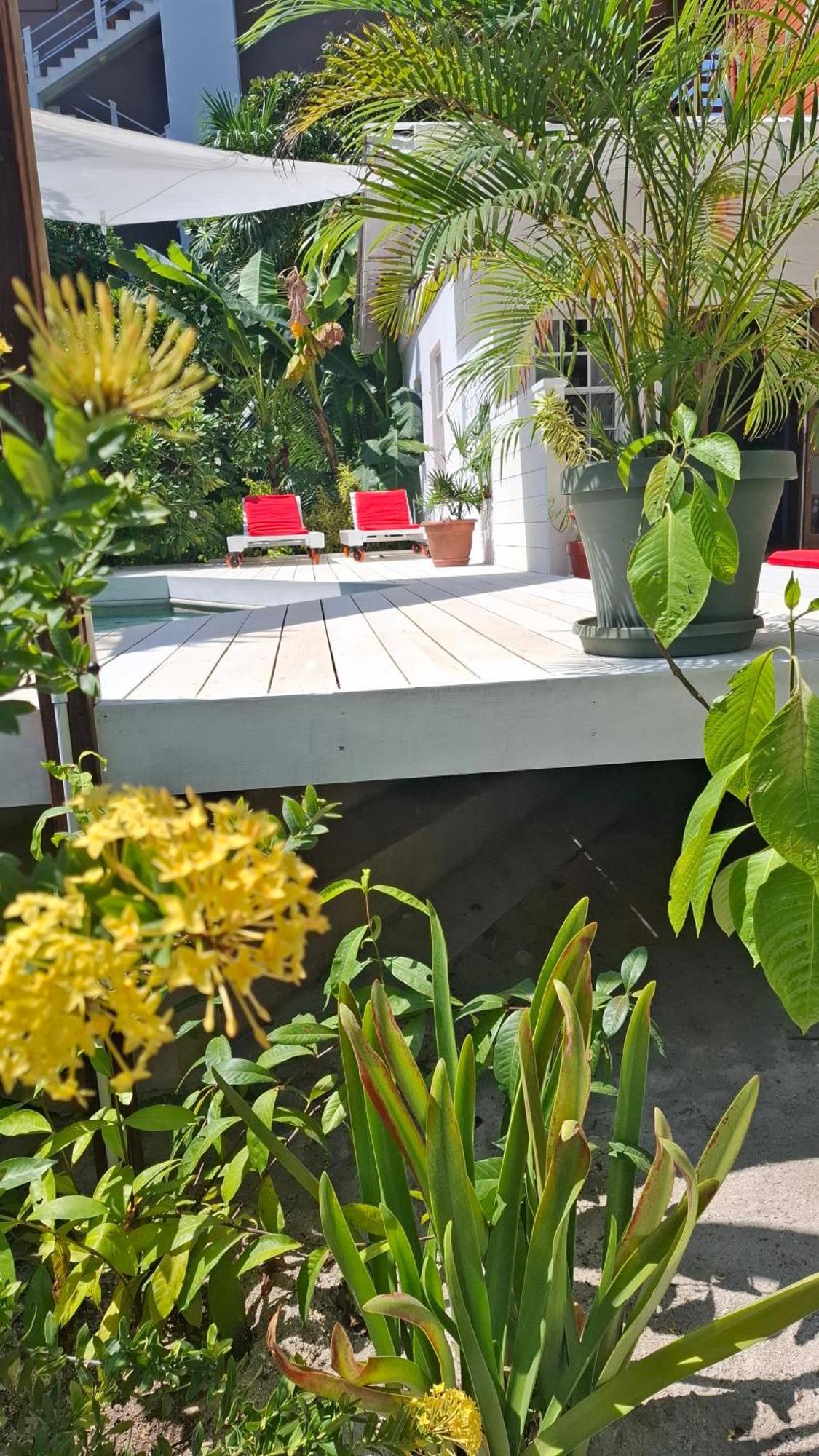 Amanda'S Place Green Studio - Pool And Tropical Garden Caye Caulker Exterior photo
