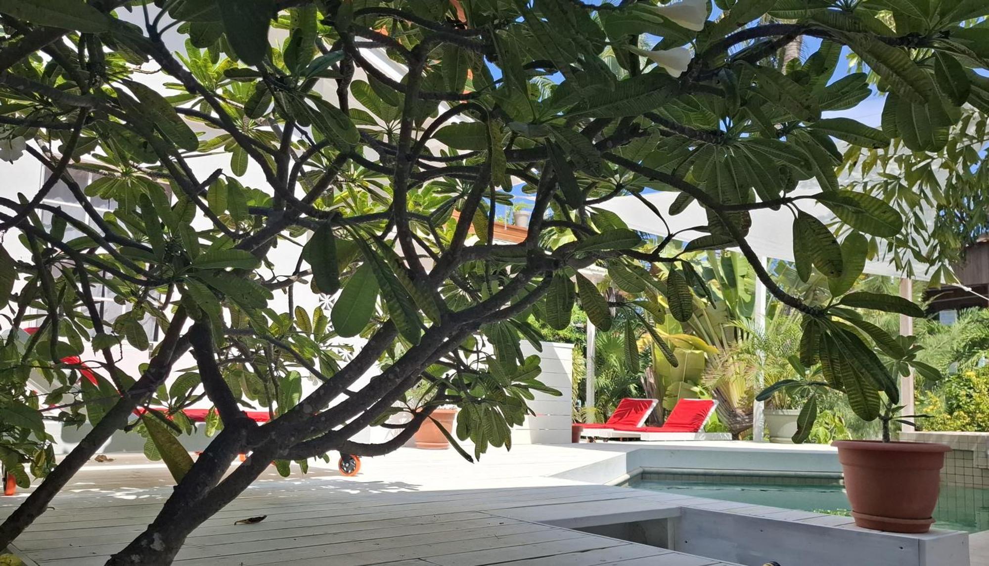 Amanda'S Place Green Studio - Pool And Tropical Garden Caye Caulker Exterior photo