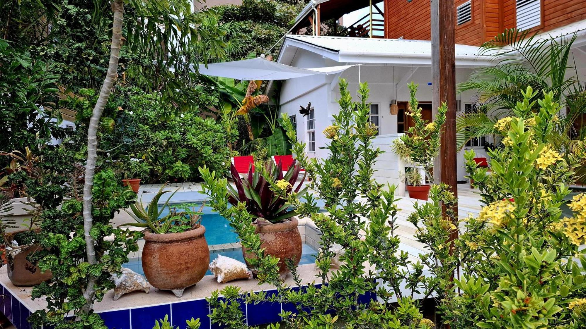 Amanda'S Place Green Studio - Pool And Tropical Garden Caye Caulker Exterior photo