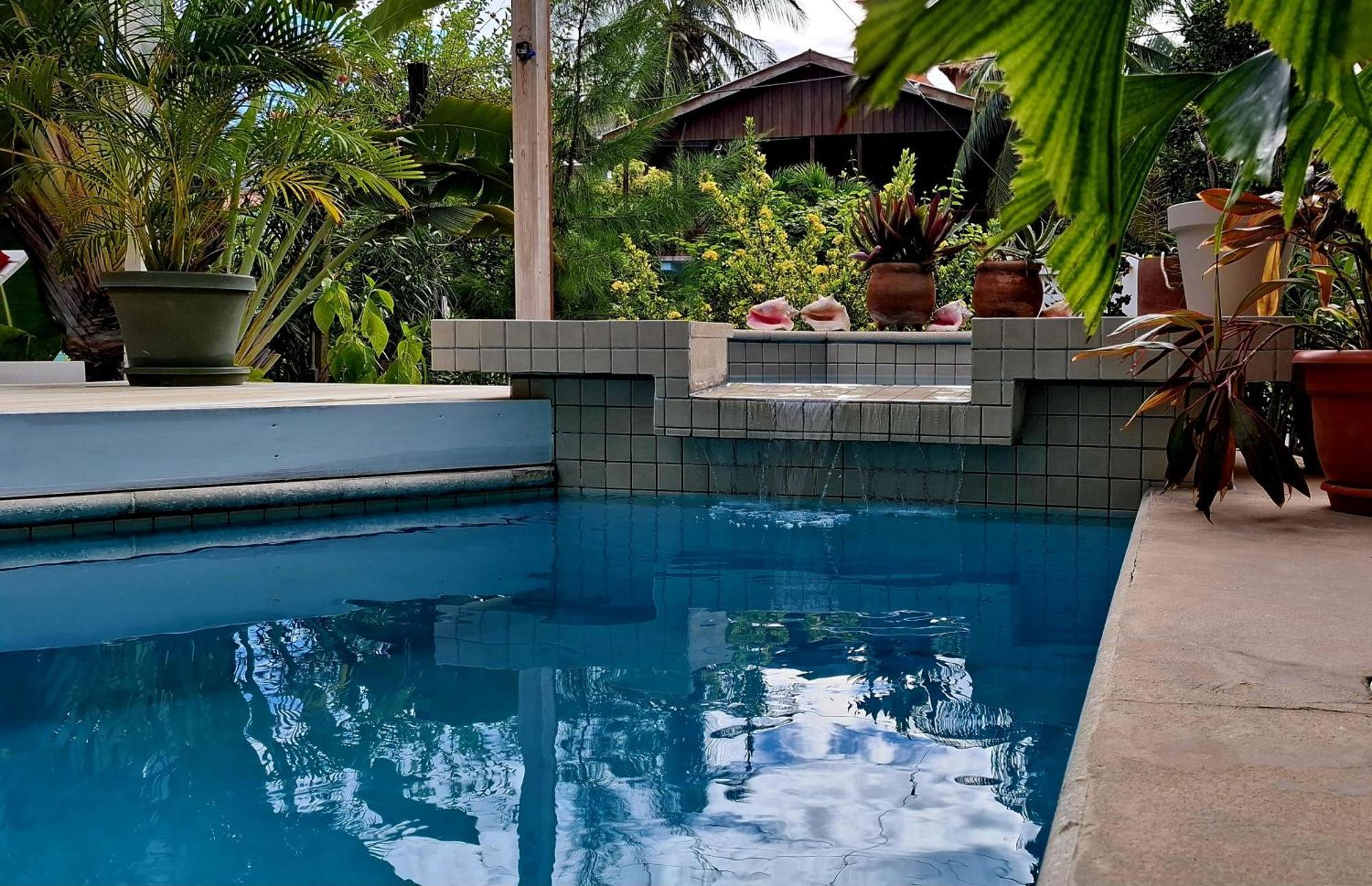 Amanda'S Place Green Studio - Pool And Tropical Garden Caye Caulker Exterior photo